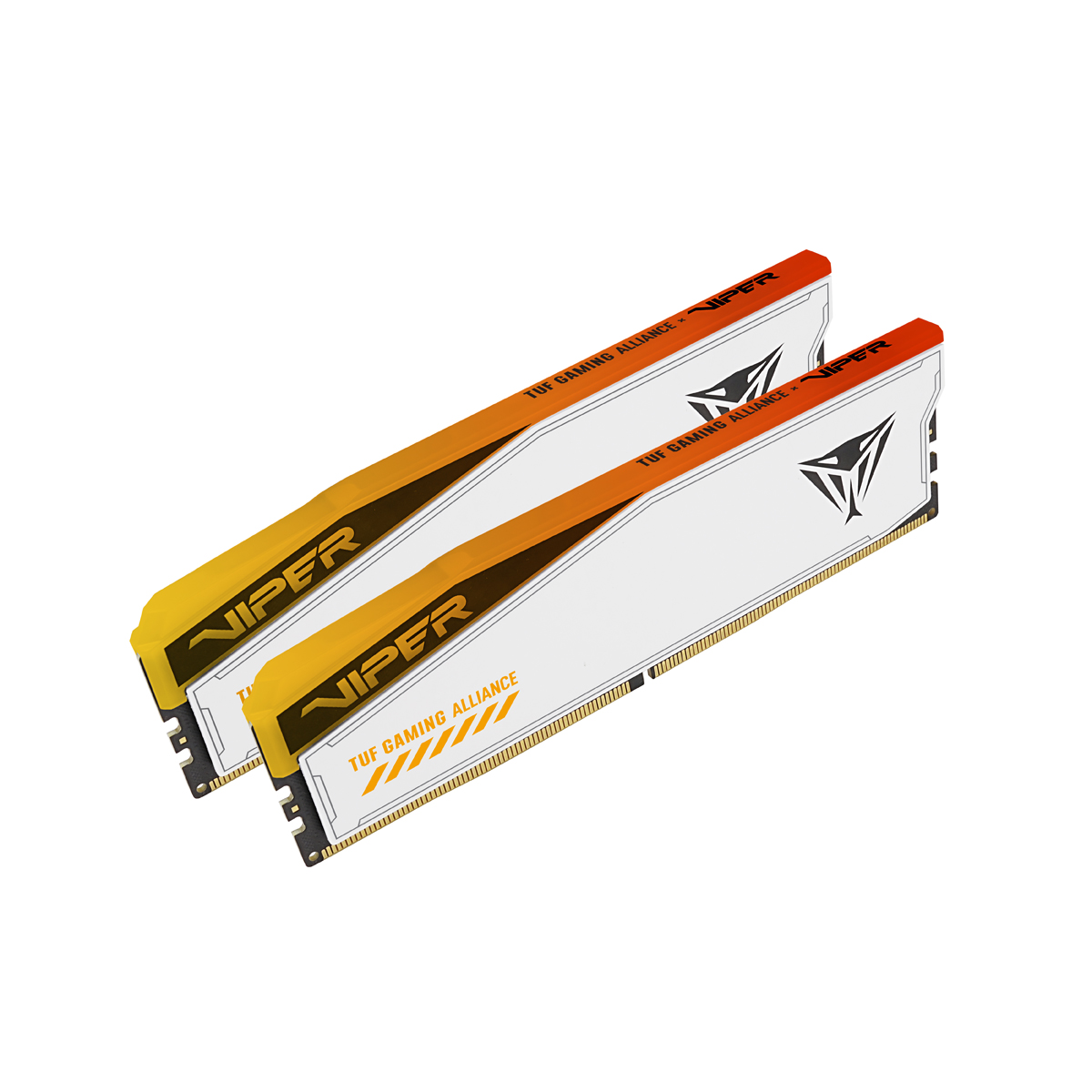 Patriot Viper Elite 5 TUF/DDR5/48GB/6600MHz/CL34/2x24GB/RGB/White