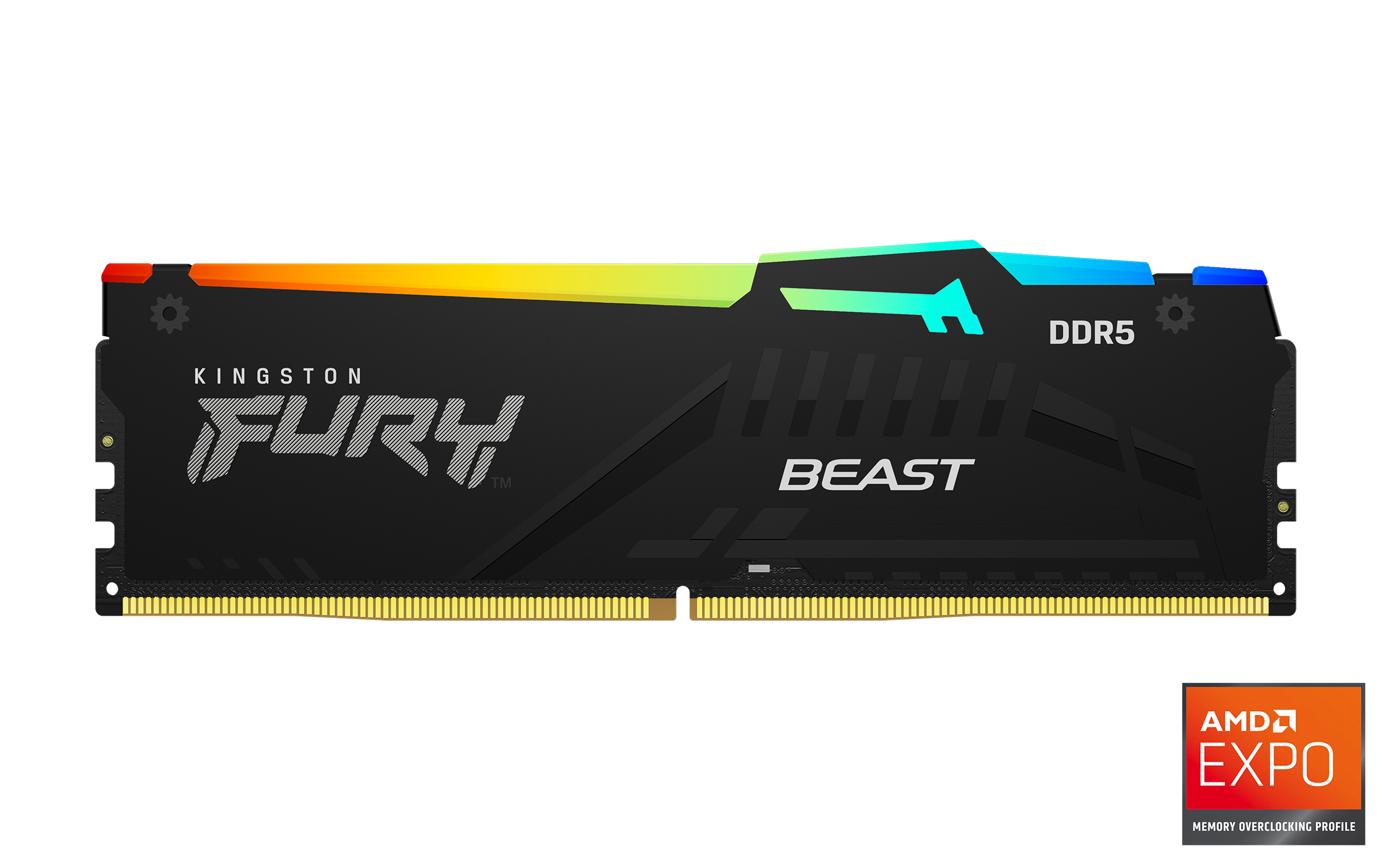 Kingston FURY Beast EXPO/DDR5/16GB/5200MHz/CL36/1x16GB/RGB/Black