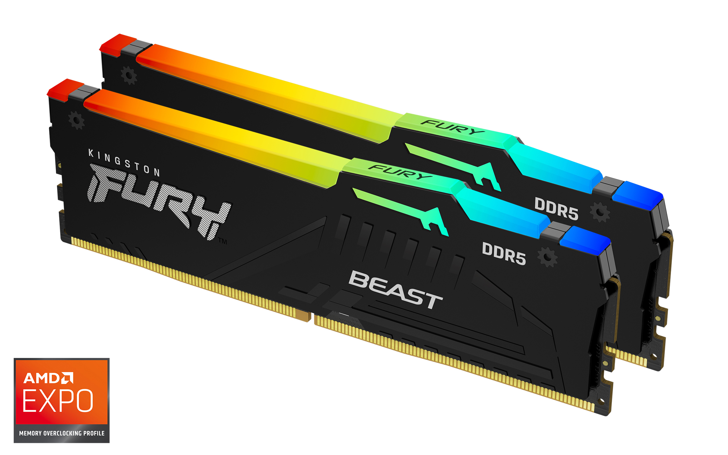 Kingston FURY Beast EXPO/DDR5/32GB/5600MHz/CL36/2x16GB/RGB/Black