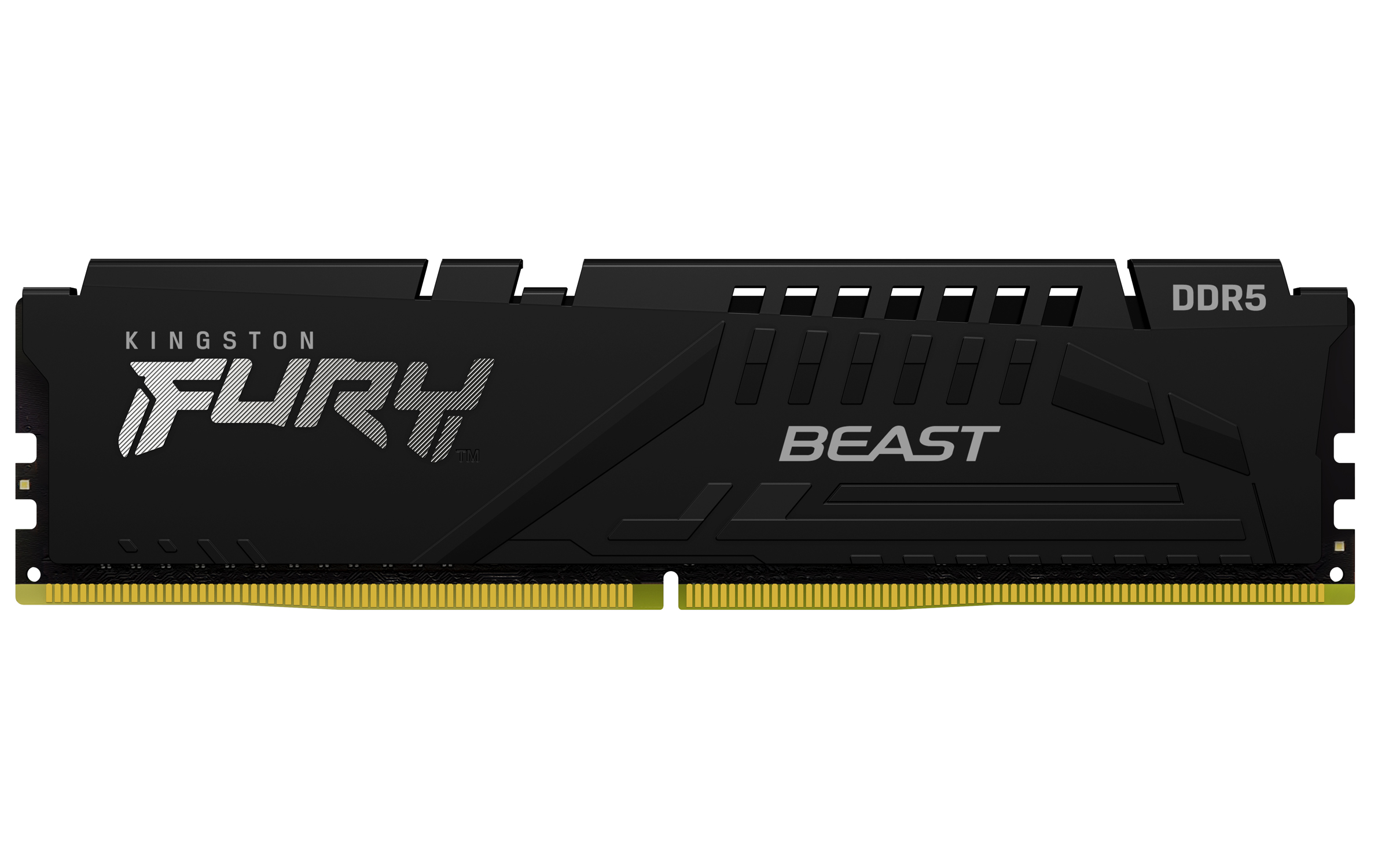 Kingston FURY Beast/DDR5/32GB/6400MHz/CL32/1x32GB/Black