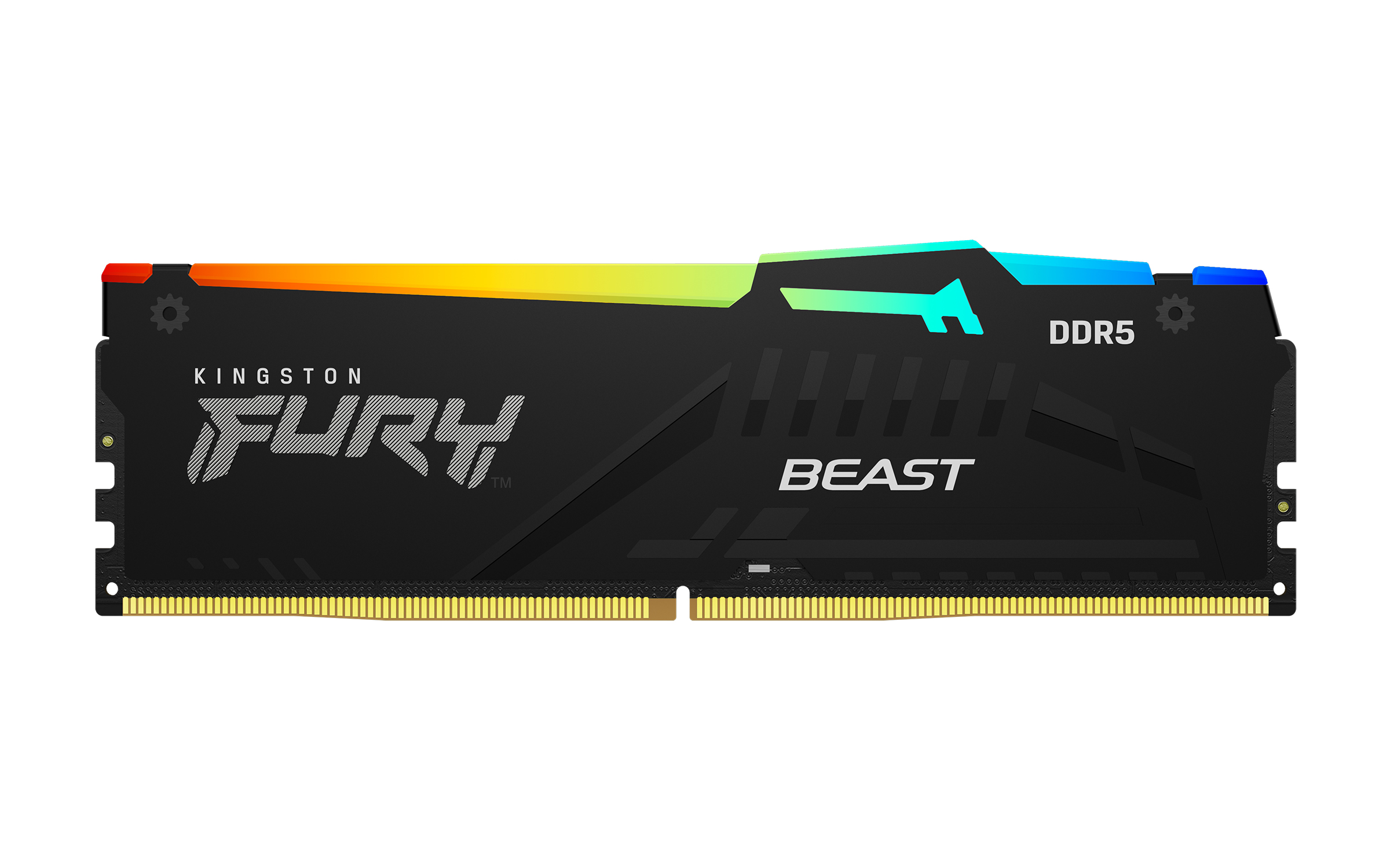 Kingston FURY Beast/DDR5/16GB/6000MHz/CL30/1x16GB/RGB/Black