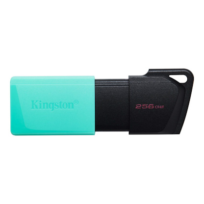 256GB Kingston USB 3.2 (gen 1) DT Exodia M