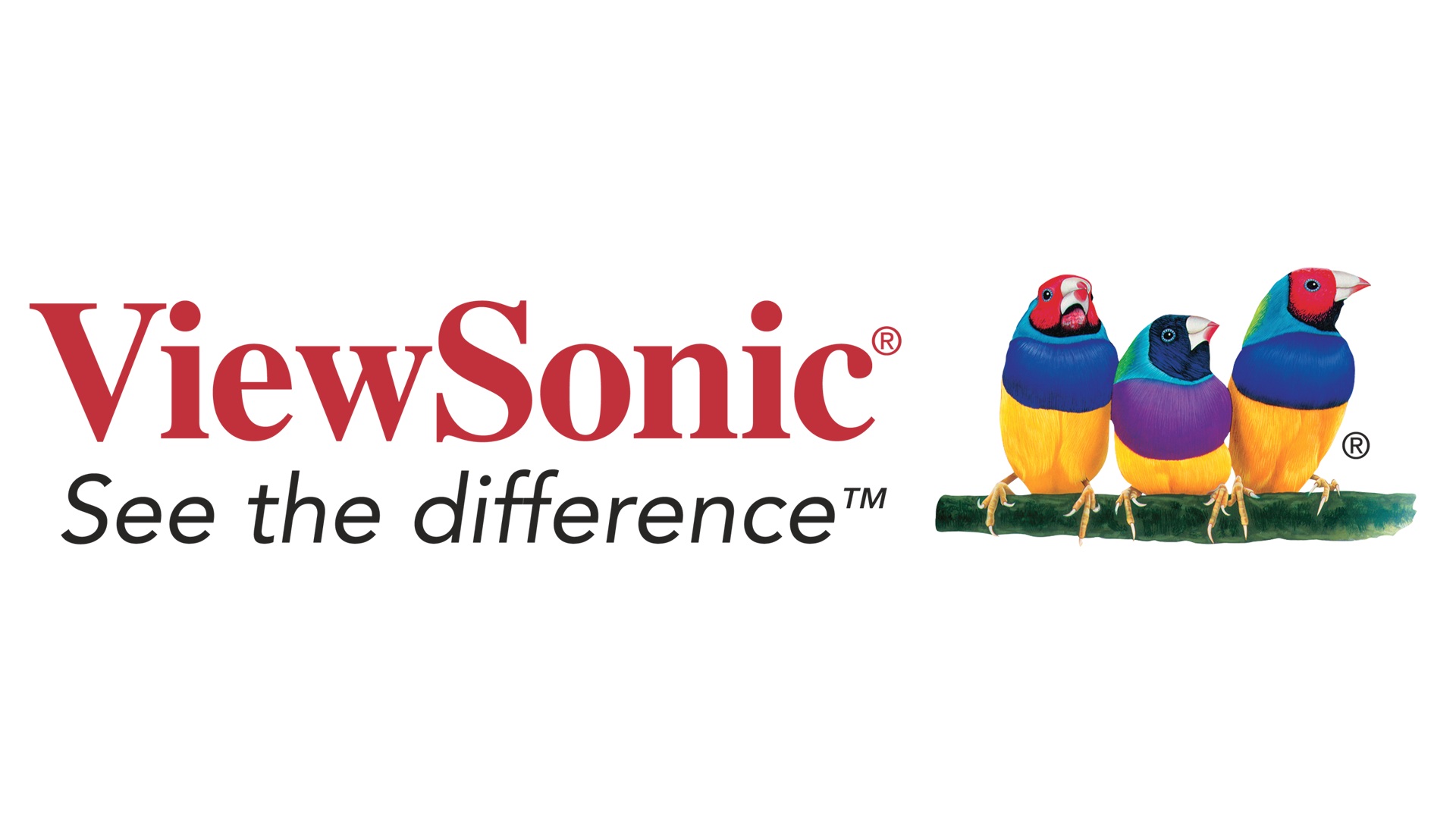 Viewsonic - WECO 1 year site device license