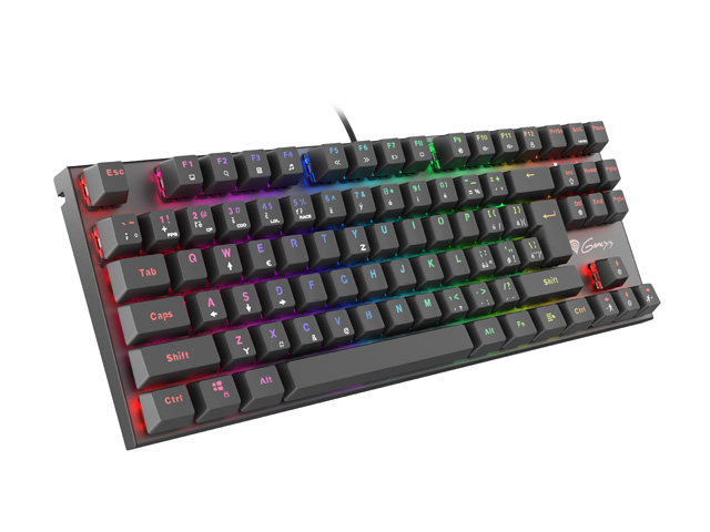 Genesis herní mechanická klávesnice THOR 300/RGB/Outemu Red/Drátová US