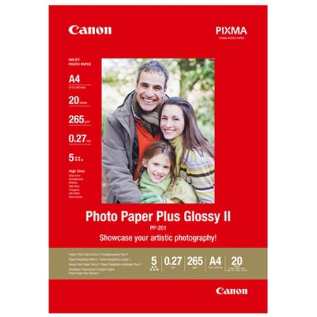 Cano PHOTO PAPER PLUS (PP-201), 4x6", 100 listů