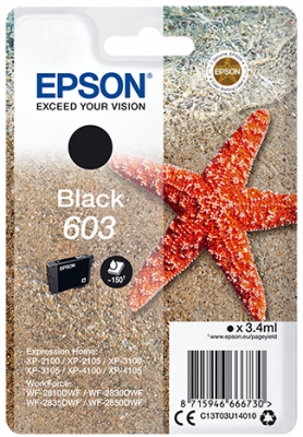 Epson singlepack, Black 603