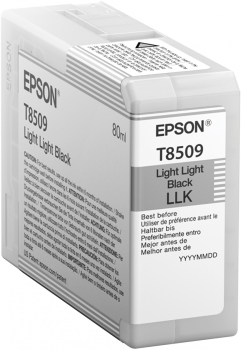 Epson Singlepack Photo Light Light Black T850900 UltraChrome HD ink 80