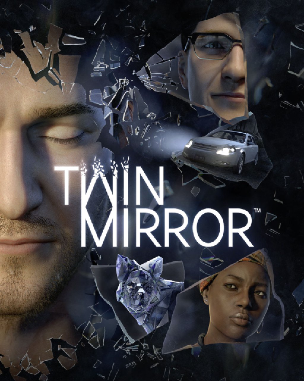 ESD Twin Mirror