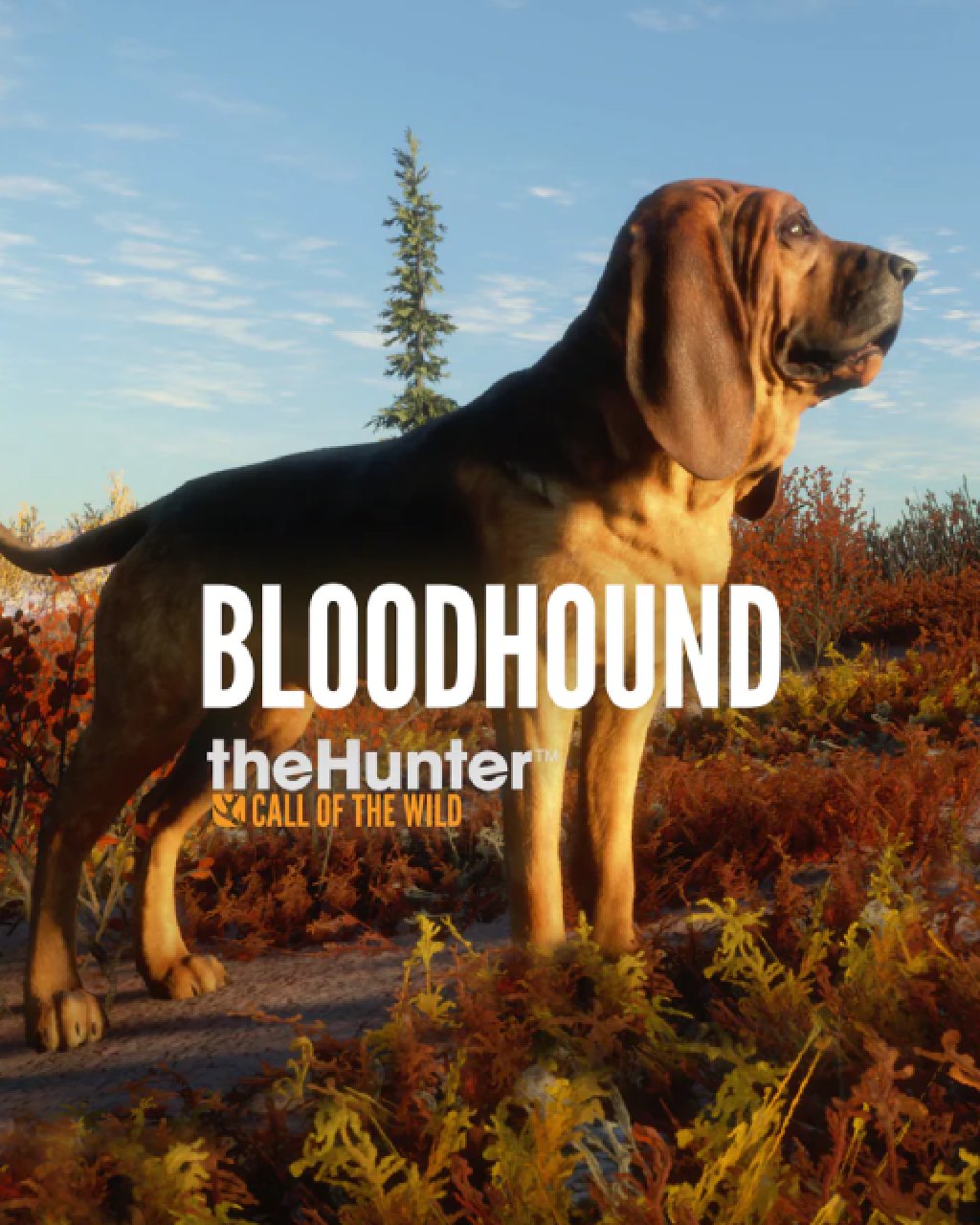 ESD theHunter Call of the Wild Bloodhound