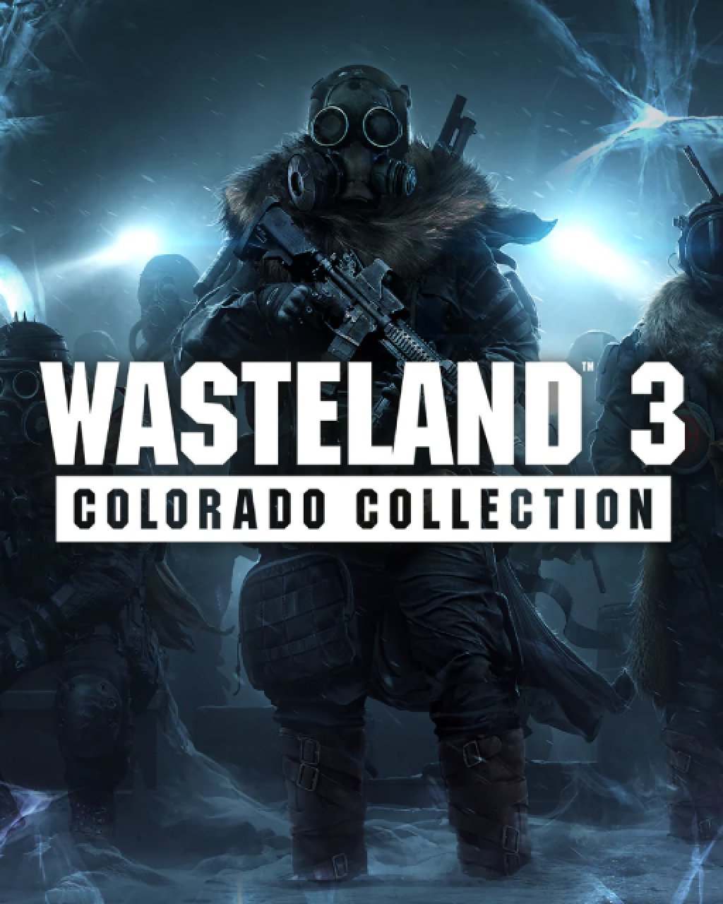 ESD Wasteland 3 Colorado Collection