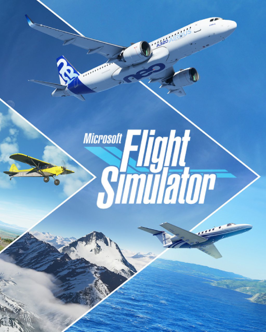 ESD Microsoft Flight Simulator Deluxe Edition